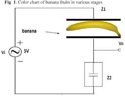 pdf prediction of banana quality during ripening stage