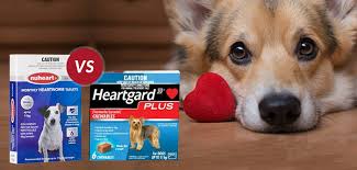 comparison between heartgard plus and nuheart budgetpetcare