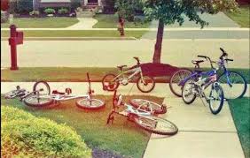 Entry #10 the front yard is made up of drought tolerant / succulent plants. Bikes On The Front Yard Nostalgia
