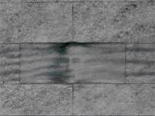 We regularly add new gif animations about and. Pink Floyd Flowers The Wall Gifs Tenor