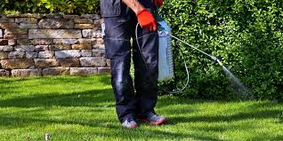 Use the best pest control companies to get rid of unwanted bugs, rodents and reptiles, both inside and outside your home or business. Professional Pest Control Is What You Need The Other Side Pest Control
