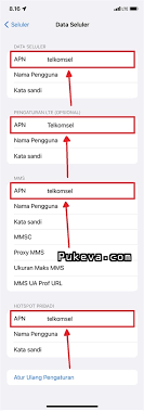 Cara Mengatasi Personal Hotspot iPhone Hilang di iOS 16 | PUKEVA