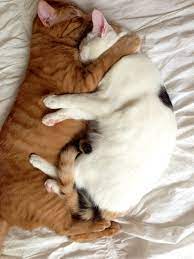 Pin On Love