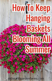 Gardening Naturally Codesters Garden Hacks To Make Mowing The Lawn Easier Lyri Plants For Hanging Baskets Hanging Plants Outdoor Container Gardening Flowers