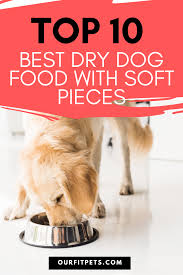 Top 10 Best Dry Dog Food With Soft Pieces Our Fit Pets Dog Food Recipes Dry Dog Food Best Dry Dog Food