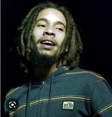 My condolences to the Marley family, especially to my Bredren, Stephen  Marley & Kerry-Ann