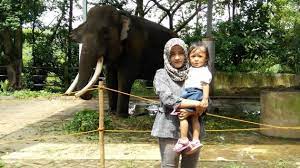 Kebun binatang mangkang beralamat di jl. 10 Gambar Bonbin Mangkang Semarang 2021 Tiket Masuk Taman Margasatwa Jejakpiknik Com