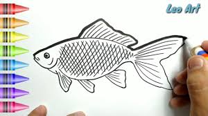 Langkah langkah menggambar ikan yang mudah. Hebat Cara Menggambar Dan Mewarnai Ikan Mas Dengan Mudah Untuk Anak Indonesia Youtube