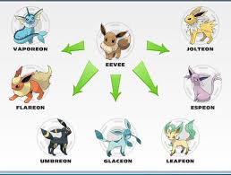 47 Unfolded Nidorina Evolution Chart