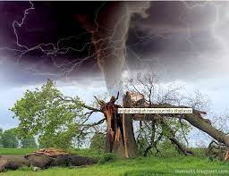 Penulis membuat teks eksplanasi menurut peristiwa berdasarkan fakta yang benar terjadi. Langkah Langkah Menyusun Teks Eksplanasi Marnulis