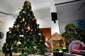 (video) unik, warga jembrana bikin pohon natal dari botol plastik bekas. Pohon Natal Bambu Tertinggi Ramaikan Lovely Desember Antara News