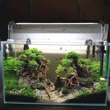 Uxcell Aquarium Fish Tank Green Plastic Artificial Tree Design Ornament 23x6x29cm In 2020 Fresh Water Fish Tank Aquarium Fish Tank Fish Tank