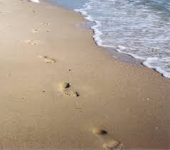 Spuren im sand, dieser roman hat ein bisschen von allem, action, abenteuer, fantasy, spannung. Kostenloses Fussspuren Im Sand Photos Freeimages Com