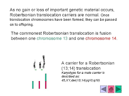 If youve had more than one miscarriage or know youve been pregnant with a fetus that carries a chromosomal imbalance, your doctor may advise genetic testing for a robertsonian translocation. Robertsonian Chromosome Translocations The Basics A Tutorial To