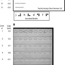 Illustration Of The Dot Chart Top Used In Both Experiments