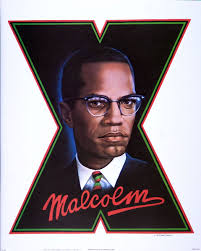 (16 x 20) Art Print PO1199 Ward Owens Malcolm X