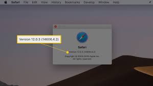 When i reviewed various keyloggers in my post, refog was the least spammy option. Check The Version Number Of Apple S Safari Browser