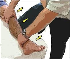 Image result for Fulcrum Test