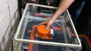 Berikut adalah cara kerja dari black box. Headline Kotak Hitam Pesawat Lion Air Ditemukan Misteri Segera Terkuak News Liputan6 Com
