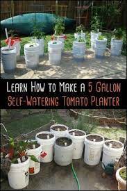 Grow Your Own Tomatoes By Building A 5 Gallon Self Watering Tomato Container Tomato Planter Watering Tomatoes Self Watering Planter