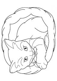 Sep 01, 2016 · here are several printable kitten coloring pages that you can collect for your child's use at home and school. Get This Cat And Kitten Coloring Pages Free To Print 67491