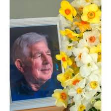 Mr. Kees Breed's Small Cupped Narcissus Mixture