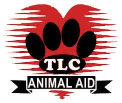 Check spelling or type a new query. Tlc Animal Aid Home Facebook