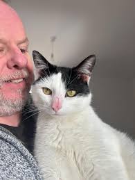 My baby Otto came home with a big scratch