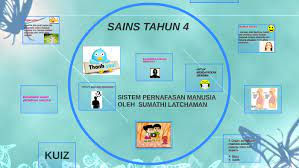 Mengenal organ dan cara kerja sistem pernapasan manusia. Sistem Pernafasan Manusia By Sumathi Latchaman