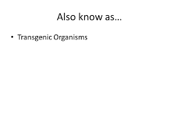 The use of the chemical compound colchicine, which causes. Transgenic Organisms Ppt Video Online Download