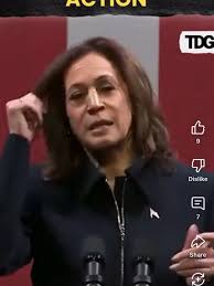 ✨ Just adding a little positivity to your timeline. 💙, Vice President  Kamala Harris once said: ‘The American people have a right to live, work,  worship and learn without fear of violence — including ...