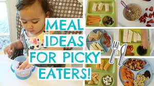 A roundup of kid friendly and picky eater approved recipes that are mostly healthy and enjoyable for having a picky eater living under my roof, i'm far too familiar with the frustrations of multiple meals. Toddler Meals For Picky Eaters Toddler Meal Ideas Hayley Paige Youtube