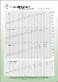 Fetal Growth Chart Gives Pregnant Women The Reassurance They