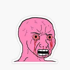 As wojak is about to quit trading bitcoin and cryptocurrencies for good, he gets an abrupt visit from sergey nazarov. Pink Wojak Stickers Redbubble