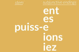 French Subjunctive Irregular Conjugations