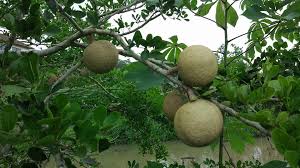 Maybe you would like to learn more about one of these? March 2018