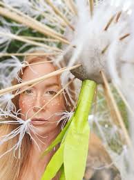 What are the prices of giant shiny dandelions for a fairy costume?