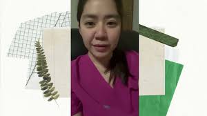 DR. THERESA MENOR, a mentor who help turn dreams to reality.