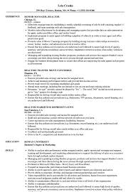 Realtor Resume Samples Velvet Jobs