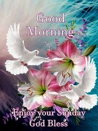 Good Morning Enjoy Your Sunday God Bless Sunday Greetings Good Morning Happy Sunday Happy Sunday Morning The random vibez gets you the most inspiring and fresh sunday good morning. good morning enjoy your sunday god