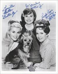 The twelve facts of christmas in hooterville 1) the shady rest and t. Petticoat Junction Tv Cast Autographed Signed Photograph Co Signed By Lori Saunders Gunilla Hutton Linda Kaye Historyforsale Item 226465