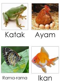 We did not find results for: Gambar Haiwan Yang Beranak Dan Bertelur