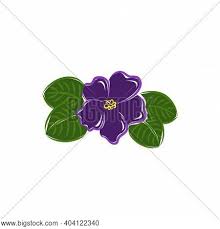 Maybe you would like to learn more about one of these? African Violet Flat Vector Photo Free Trial Bigstock