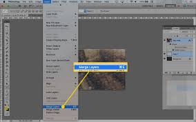 Oil paint filter in photoshop 5. Rasterizing Layer Effects In Photoshop