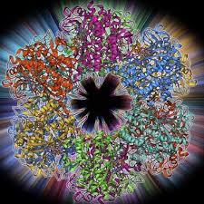 How Old Are The Genes In Humans Old Things Human Olds