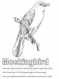 Free printable florida map coloring pages for kids that you can print out and color. Mockingbird Coloring Page Bird Coloring Pages State Birds Coloring Pages