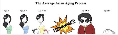 The Average Asian Womens Aging Process Chart
