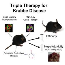 Image result for Dark Hunter Green 1997 AAV