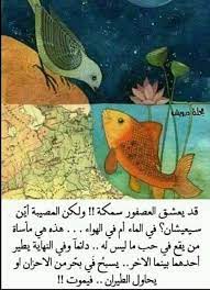 pin by yi on فضاء المعنى girly pictures arabic quotes funny quotes