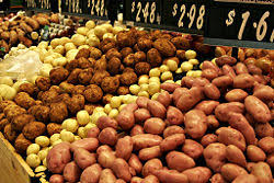 potato new world encyclopedia